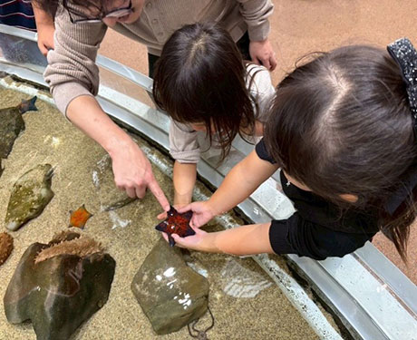 休⽇のワンショット